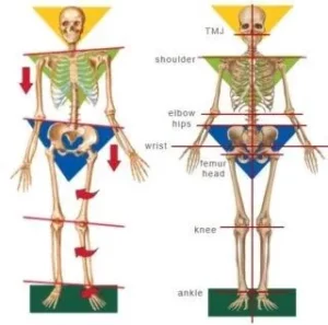 Illustration of body posture and jaw joint issues at Smilezone Dental Zug.